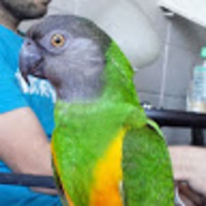 Meet your Posher, Kimberly